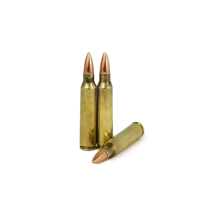 .223 Target/Practice - Image 5